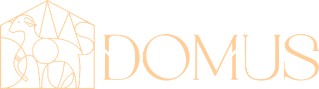 Domus Soluções Digitais